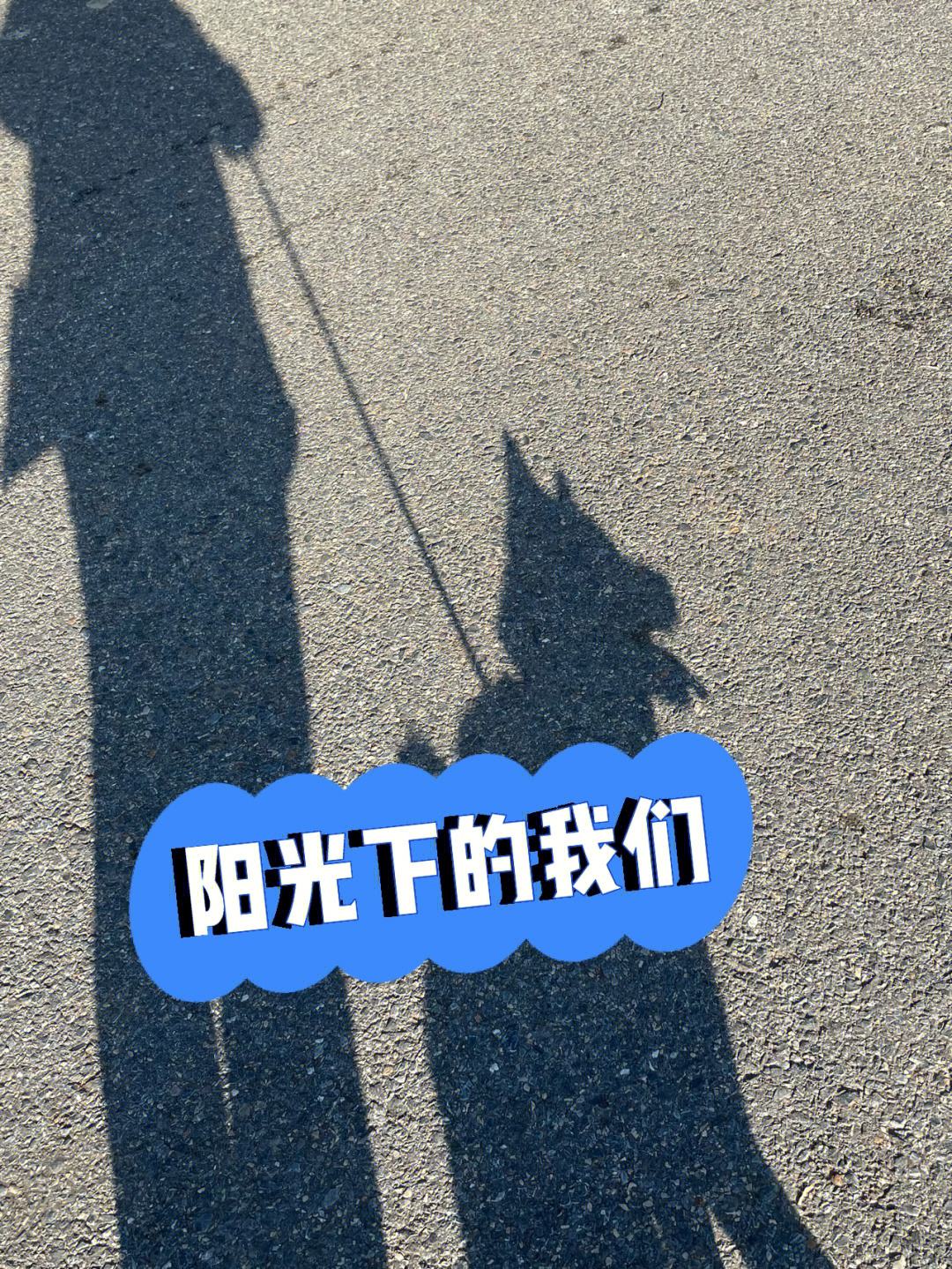 手机版阳光下的真实阳光下的真实100%攻略-第1张图片-太平洋在线下载