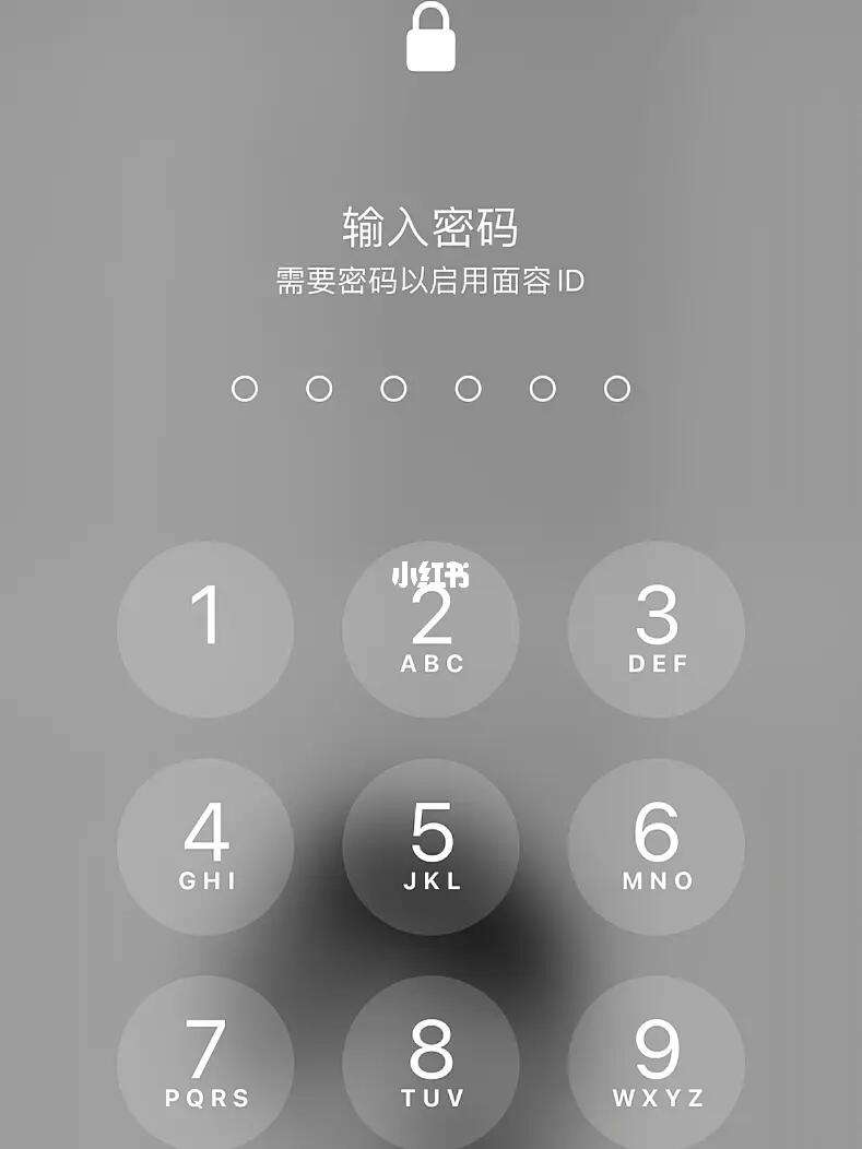 时间解锁苹果版苹果5s屏幕解锁-第2张图片-太平洋在线下载