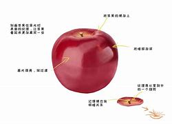 把苹果变成电脑版苹果电脑系统下载官网-第2张图片-太平洋在线下载