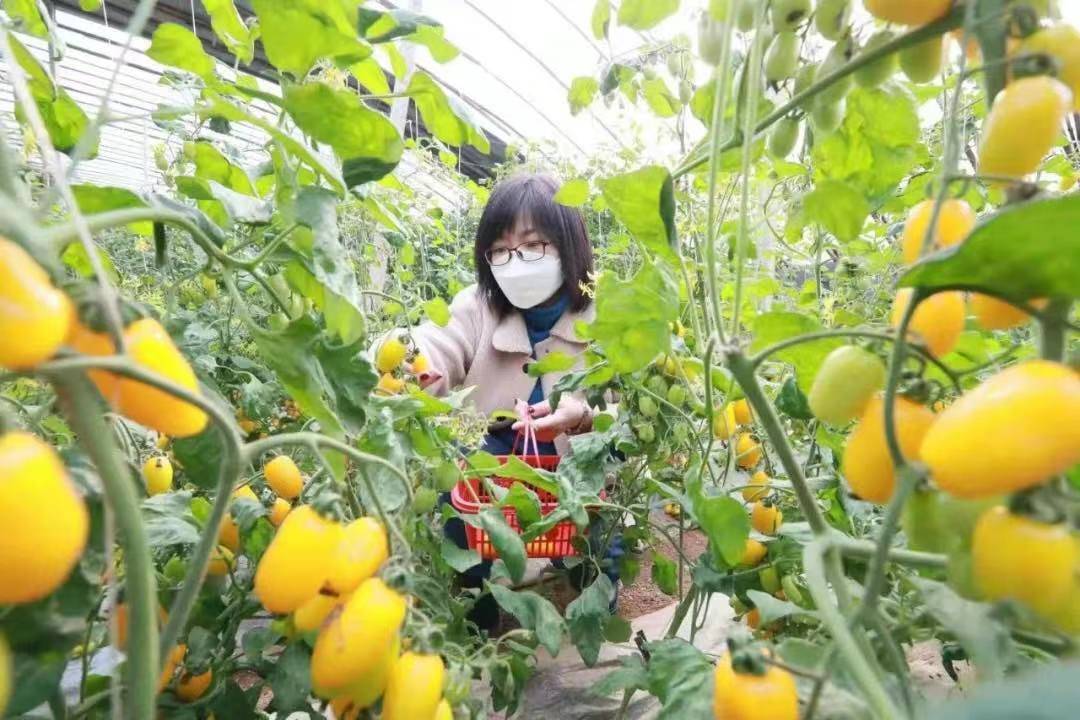 圣女直播破解版苹果版无限破解直播含港台v54apk-第2张图片-太平洋在线下载