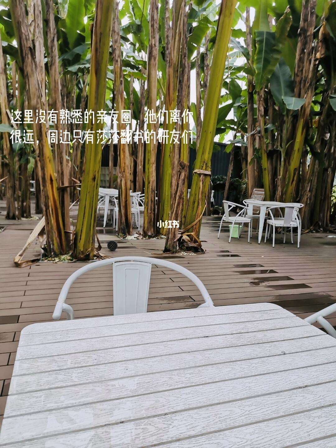亲友圈手机客户端免费发布推广信息的平台-第2张图片-太平洋在线下载
